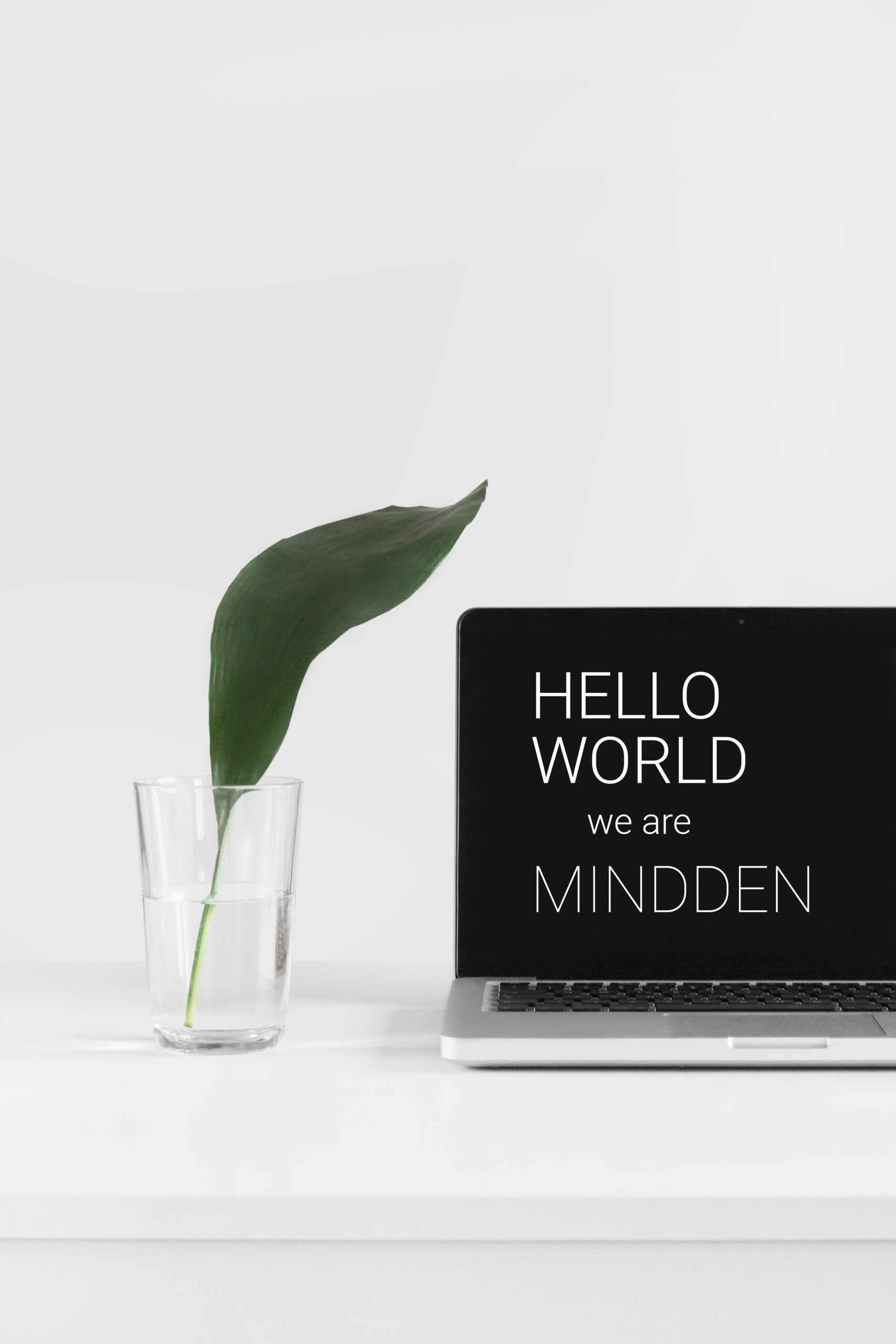 Mindden, a large family with over 70 professionals