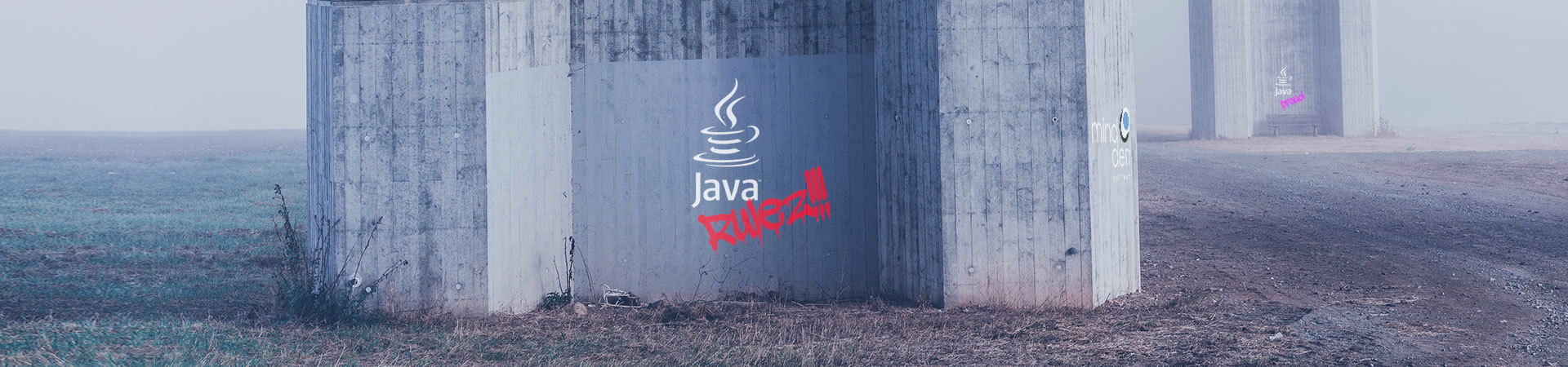 Senior Java developer, no diga JAVA, diga moldeable y sólido