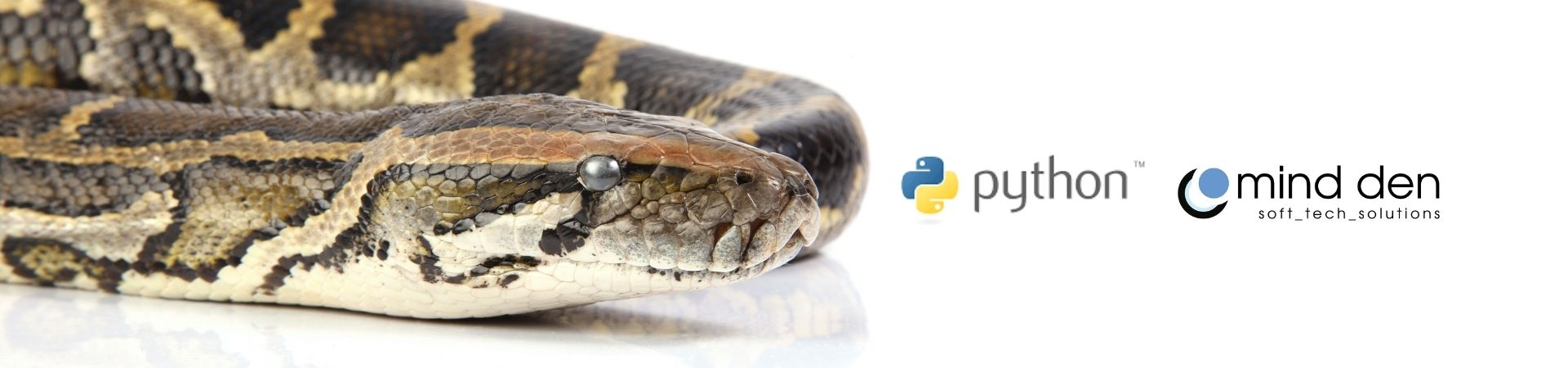 Oferta Fullstack Developer Python, R, Angular 8+.